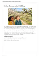 Vorschau - Arbeitsblätter - Vom Apfelbaum zum Korb – 8 illustrierte Erzählkarten zum Apfeljahr | Kita 3–6 Jahre - Seite 2