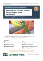 Vorschau - Stundenentwürfe - Annahmeverzug Folgen WiSo (Std 3) - Deckblatt