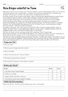 Vorschau - Arbeitsblätter - Leseverständnis Klasse 4 – Mein Körper: 10 Sachtexte mit Übungen und Lösungen - Seite 2