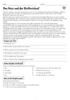 Vorschau - Arbeitsblätter - Leseverständnis Klasse 4 – Mein Körper: 10 Sachtexte mit Übungen und Lösungen - Seite 3