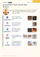 Vorschau - Arbeitsblätter - Tiere im Winter Klasse 1: Vorlesetexte, Ankreuzen, Tierspuren, mit Lösungen - Seite 3