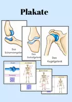 Vorschau - Mal- und Bastelvorlagen - Gelenke Materialpaket - Erforschen & entdecken – Kugelgelenk, Scharniergelenk und Sattelgelenk | Sachunterricht - Seite 2