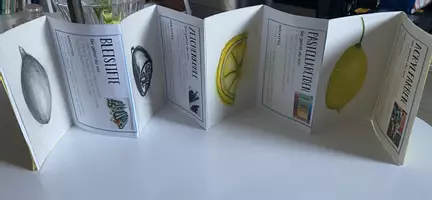 Vorschau - Stationenlernen - Kunst - Malwerkzeuge - Leporello - Seite 3