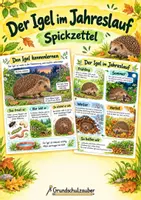 Vorschau - Merkblätter - Der Igel im Jahreslauf Spickzettel - Sachunterricht Klasse 3–4 - Deckblatt