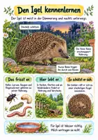 Vorschau - Merkblätter - Der Igel im Jahreslauf Spickzettel - Sachunterricht Klasse 3–4 - Seite 1