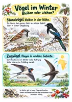 Vorschau - Merkblätter - Tiere und ihre Lebensräume Spickzettel Materialpaket – Sachunterricht Klasse 3–4 - Seite 2