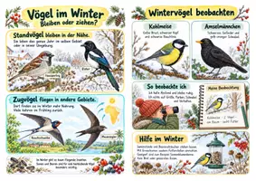 Vorschau - Merkblätter - Vögel im Winter Spickzettel - Sachunterricht Klasse 3–4 - Seite 3