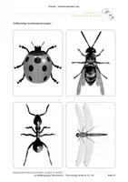 Vorschau - Stundenentwürfe - Naturwissenschaften im Freien (mit 5 Aktionstagen) - Deckblatt