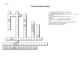 Vorschau - Arbeitsblätter - Wiederholungsstationen Zelle, Fotosynthese, Zellatmung - Seite 3