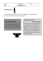 Vorschau - Präsentationen/Tafelbilder - Informationstexte Mundwerkzeuge Insekten - Deckblatt