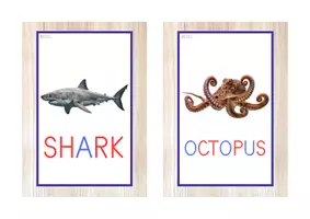 Vista previa - Juegos / Gamificación - THE OCEAN PACK - 20 recursos (letra de imprenta) - página 2