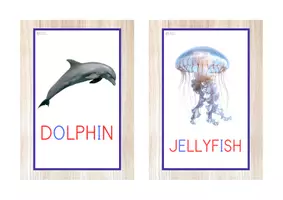 Vista previa - Juegos / Gamificación - THE OCEAN PACK - 20 recursos (letra de imprenta) - página 3