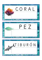 Vista previa - Tarjetas / Manipulativos - Lecto-escritura MAYÚSCULA (océano) - Portada