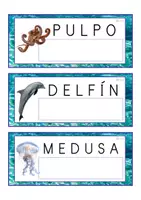 Vista previa - Tarjetas / Manipulativos - Lecto-escritura MAYÚSCULA (océano) - página 1