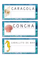 Vista previa - Tarjetas / Manipulativos - Lecto-escritura MAYÚSCULA (océano) - página 3