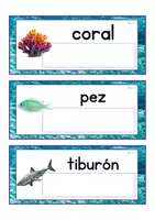 Vista previa - Tarjetas / Manipulativos - Lecto-escritura minúscula de imprenta (océano) - Portada