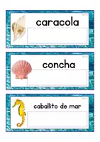 Vista previa - Tarjetas / Manipulativos - Lecto-escritura minúscula de imprenta (océano) - página 3