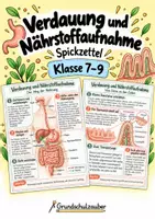 Vorschau - Merkblätter - Verdauung und Nährstoffaufnahme – Spickzettel | Biologie | Klasse 7–9 - Deckblatt