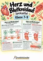 Vorschau - Merkblätter - Herz und Blutkreislauf - Spickzettel | Biologie | Klasse 7–9 - Deckblatt