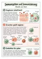 Vorschau - Merkblätter - Immunsystem und Immunisierung - Spickzettel | Biologie | Klasse 8–10 - Seite 1
