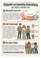 Vorschau - Merkblätter - Körper & Gesundheit - Spickzettel-Materialpaket | Biologie | Klasse 5–10 - Seite 2