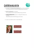 Vorschau - Poster - Classroom Phrases (frases útiles) und Verbfächer für Spanisch - Seite 2