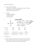 Vorschau - Arbeitsblätter - Leistungskontrolle Alkane Version 1 - mit Lösungen - Seite 2