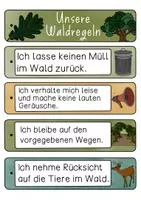 Vorschau - Arbeitsblätter - Unsere Waldregeln - Regelfächer, Poster & Arbeitsblätter - Seite 2