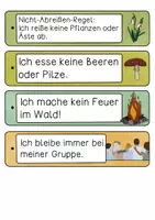 Vorschau - Arbeitsblätter - Unsere Waldregeln - Regelfächer, Poster & Arbeitsblätter - Seite 3
