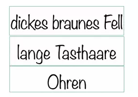 Vorschau - Arbeitsblätter - Materialpaket Fischotter, Tier des Jahres 2021, Otter, Lesekartei, Arbeitsblätter, Poster - Seite 2