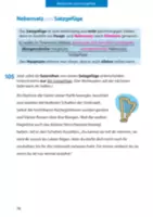 Vorschau - Arbeitsblätter - Grammatik 5.-7. Klasse: Der Satz - Seite 2