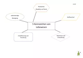 Vorschau - Arbeitsblätter - Mind-map zu den 5 Kennzeichen von Lebewesen - Biologie - Seite 2