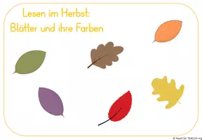 Vorschau - Fördermaterial/Inklusion - Farben lesen im Herbst - Klettmappe TEACCH - Seite 1