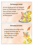 Vorschau - Arbeitsblätter - Kleckskartei - (Abschreibkartei - Thema HERBST) - Seite 3