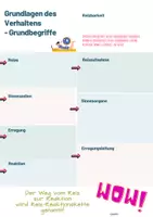 Vorschau - Arbeitsblätter - Paket zur Reiz-Reaktions-Kette und Verhaltensbiologie - Seite 2