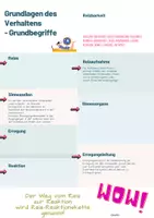 Vorschau - Arbeitsblätter - Laufdiktat Reiz-Reaktionskette differenziertes Material zum selbstständigen Arbeiten - Seite 3