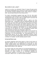 Vorschau - Lehrpläne/Lehrermaterial - Lernprozesse optimieren mit Unterstützung des - Seite 2