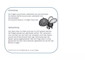 Vorschau - Spiele - Fliegen klatschen, das Spiel für den ZR20 - Seite 1