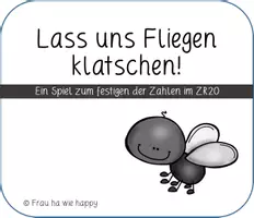 Vorschau - Spiele - Fliegen klatschen, das Spiel für den ZR20 - Deckblatt