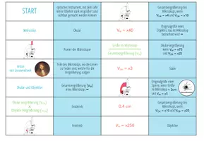 Vorschau - Spiele - Mikroskop und Vergrößerung – Domino Spiel - Seite 2