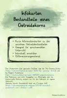 Vorschau - Aufgabenkarten - Infokarten Getreidebestandteile - Deckblatt
