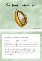Vorschau - Aufgabenkarten - Infokarten Getreidebestandteile - Seite 1