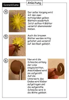 Vorschau - Stationenlernen - Bastelvorlage Sonnenblume 3D - praktische Kopiervorlage - Seite 2