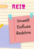 Vorschau - Arbeitsblätter - Spiele Set - Wirbeltiere, Wirbellose, Verhaltensbiologie, Samenpflanzen - differenziert - Seite 2