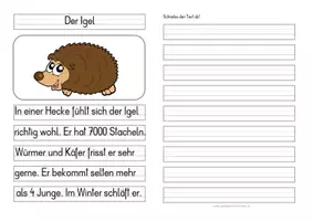 Vorschau - Aufgabenkarten - Der Igel - Differenzierte Tafel-, Abschreib- und Ansagetexte - Seite 1