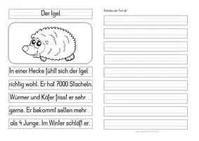 Vorschau - Aufgabenkarten - Der Igel - Differenzierte Tafel-, Abschreib- und Ansagetexte - Seite 3