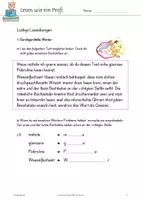 Vorschau - Arbeitsblätter - Lesen wie ein Profi - Seite 3