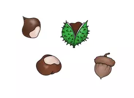 Vorschau - selbst erstellte Cliparts/Grafiken - Herbst ClipArts - Seite 2
