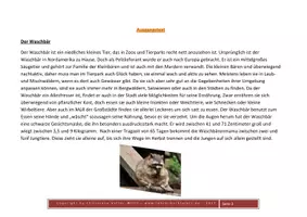 Vorschau - Arbeitsblätter - Vielfältige Lese- und Rechtschreibübungen an EINEM Text - Der Waschbär - Seite 1