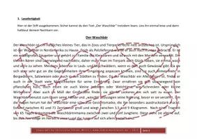 Vorschau - Arbeitsblätter - Vielfältige Lese- und Rechtschreibübungen an EINEM Text - Der Waschbär - Seite 2